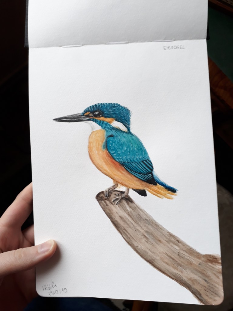 Eisvogel Aquarell